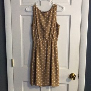 J.Crew Dot Dress